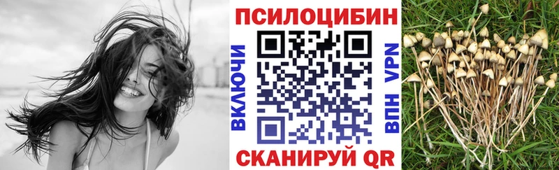 сколько стоит  Белоусово  Псилоцибиновые грибы Cubensis 
